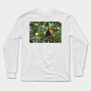 Robin Long Sleeve T-Shirt